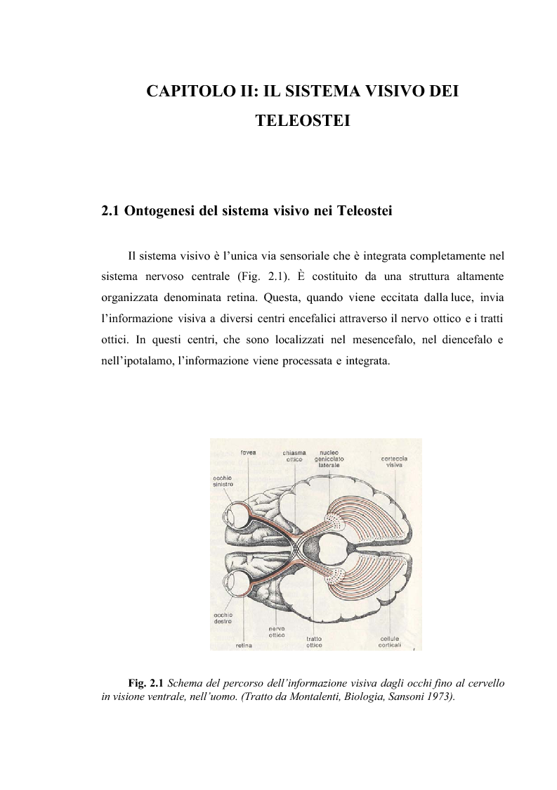 Schema sistema