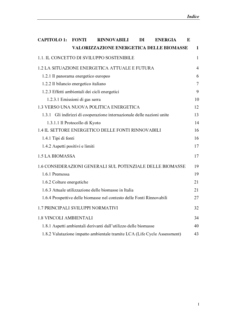 Indice della tesi: Produzione di energia elettrica distribuita da impianti di gassificazione, Pagina 1