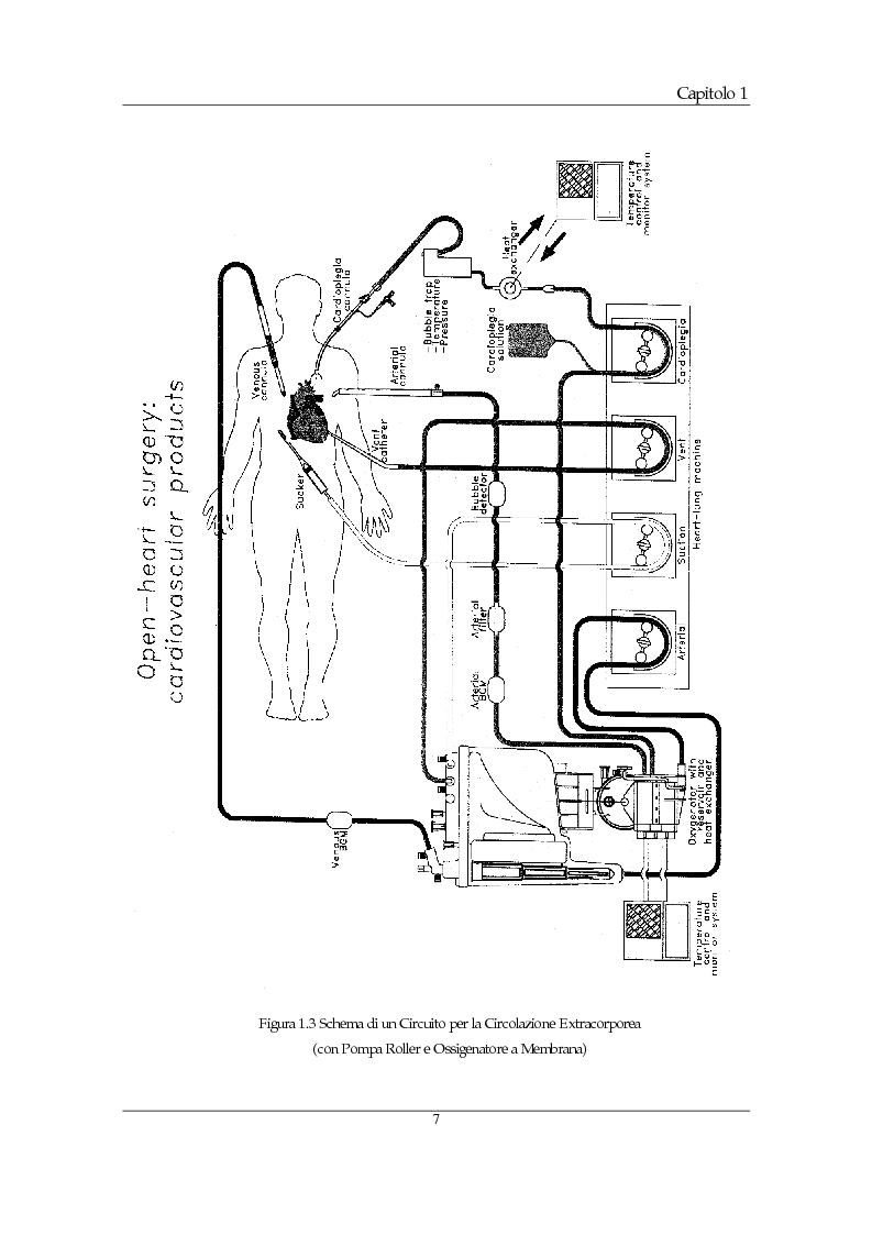 Schema corporeo tesi