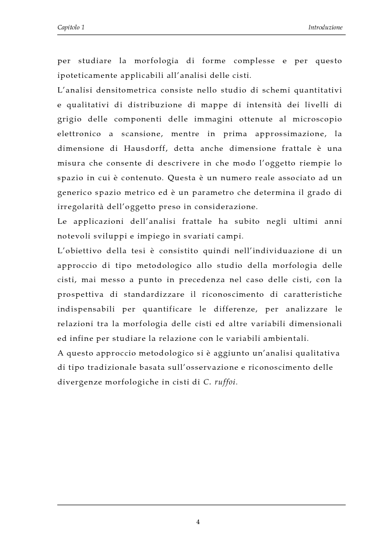 Schema analisi qualitativa