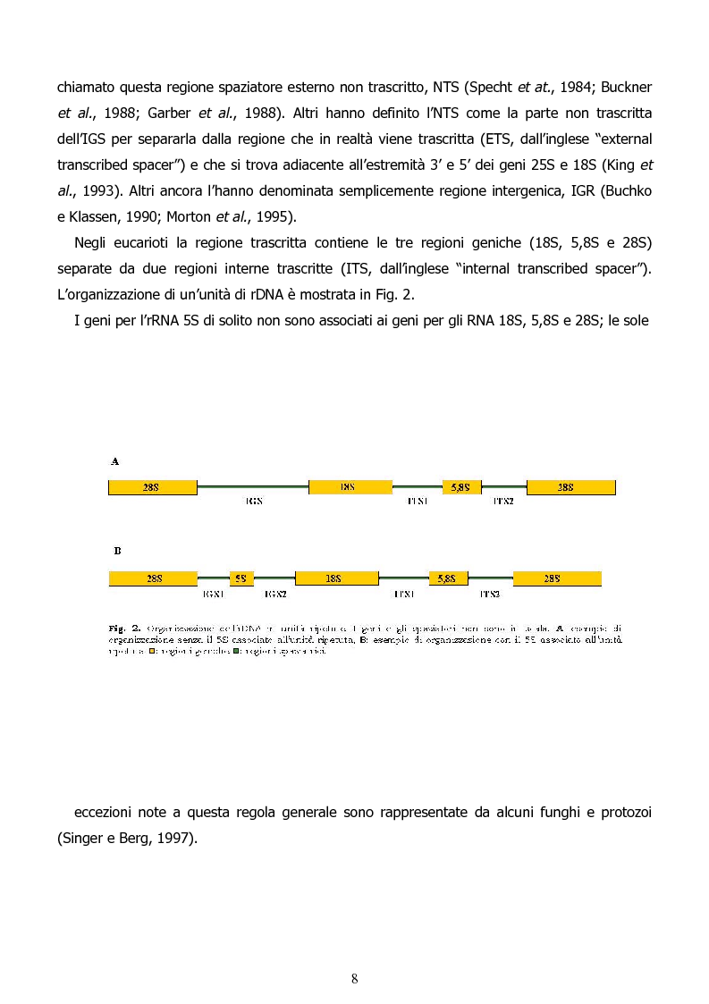 Malaysia airlines mh370 case study picture 2