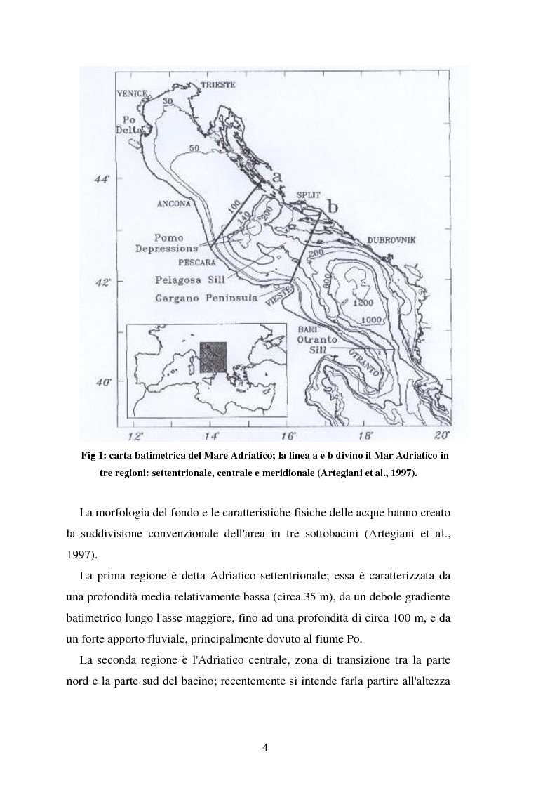 Fare lunguento di gamba di varicosity