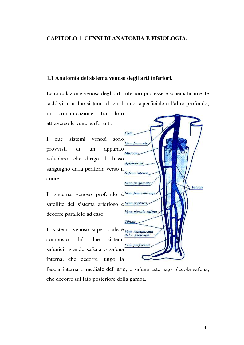 Anteprima della tesi: Gestione infermieristica delle lesioni vascolari: le medicazioni avanzate, Pagina 3