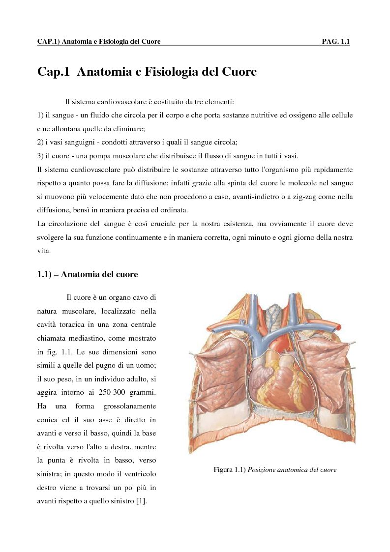 Schemi fisiologia cuore