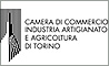 Premio di Laurea, Camera di Commercio di Torino