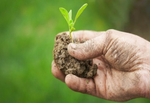 Un premio alle migliore tesi sull'agricoltura biologica