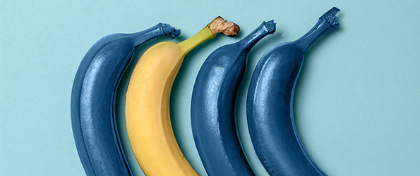 Personal Branding con LinkedIn. Primi passi