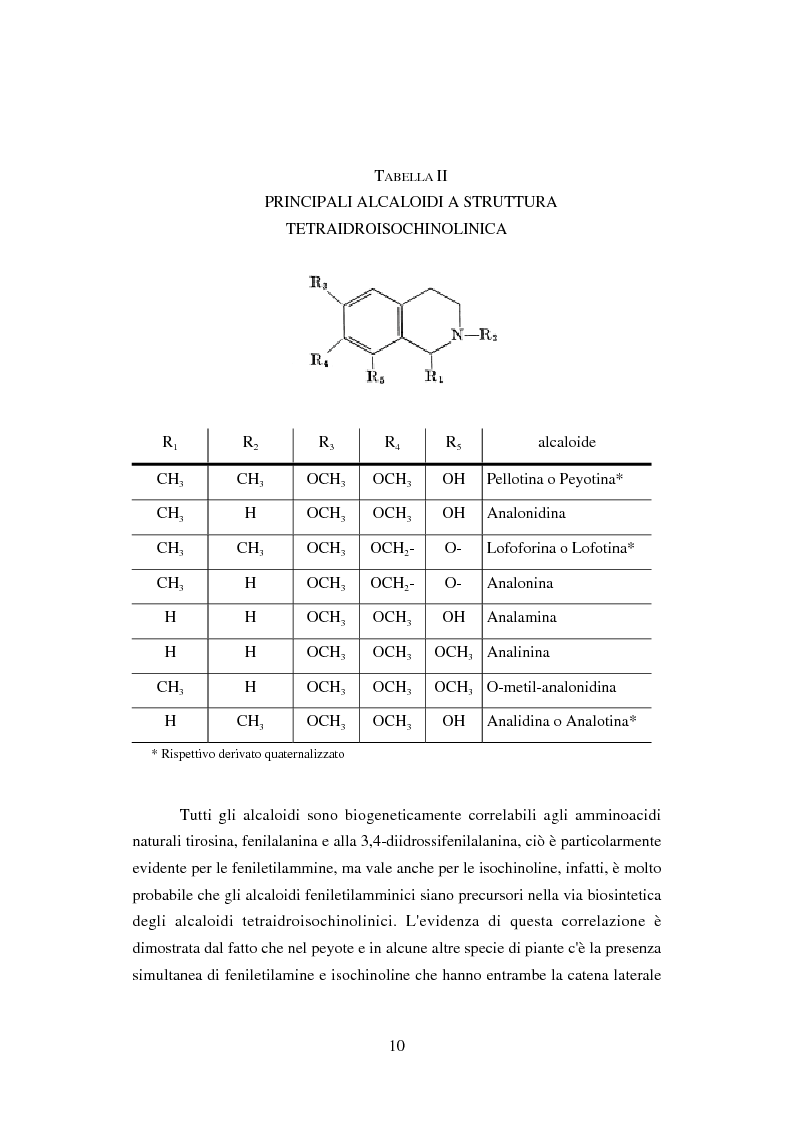Anteprima della tesi: Peyote: profilo farmaco-tossicologico e modelli culturali nelle popolazioni indigene nordamericane, Pagina 10