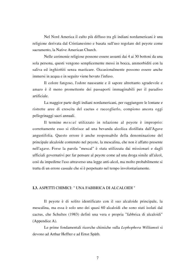 Anteprima della tesi: Peyote: profilo farmaco-tossicologico e modelli culturali nelle popolazioni indigene nordamericane, Pagina 7