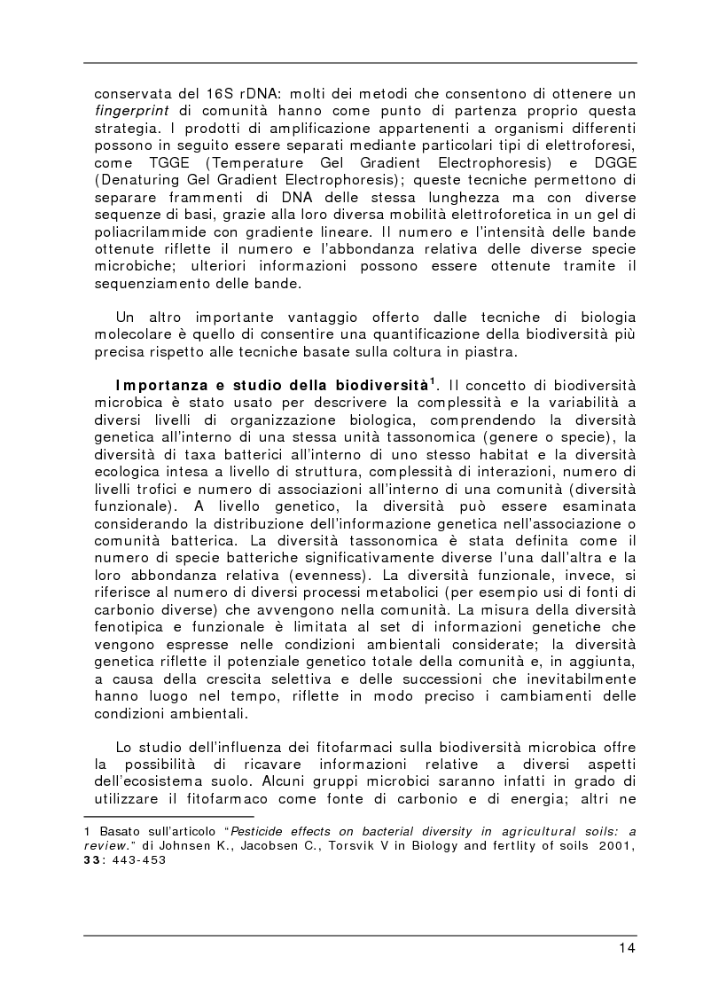 Anteprima della tesi: Degradazione e valutazione degli effetti sui microrganismi di una miscela di erbicidi sulfonilureici, Pagina 11