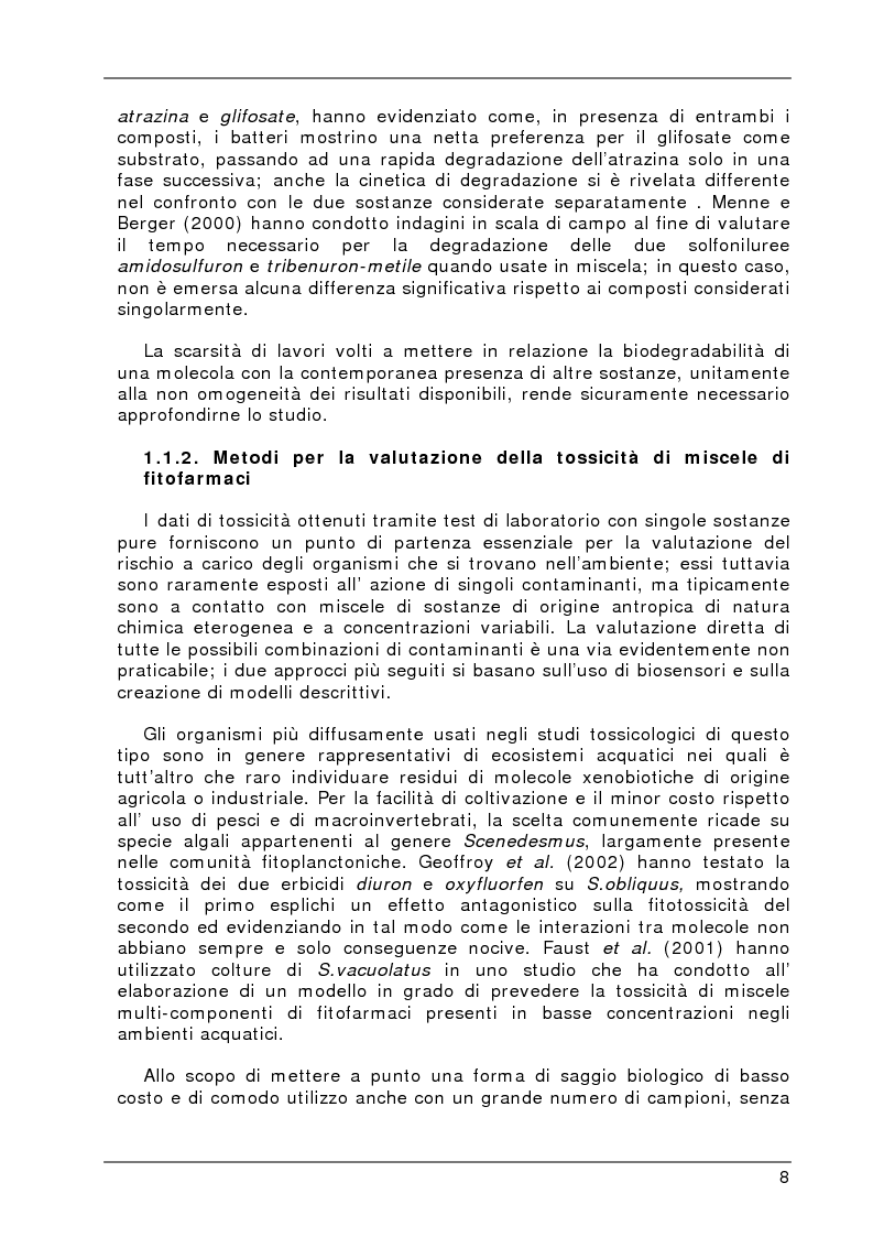 Anteprima della tesi: Degradazione e valutazione degli effetti sui microrganismi di una miscela di erbicidi sulfonilureici, Pagina 5