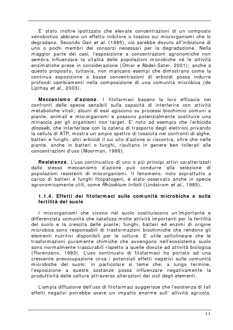 Anteprima della tesi: Degradazione e valutazione degli effetti sui microrganismi di una miscela di erbicidi sulfonilureici, Pagina 8
