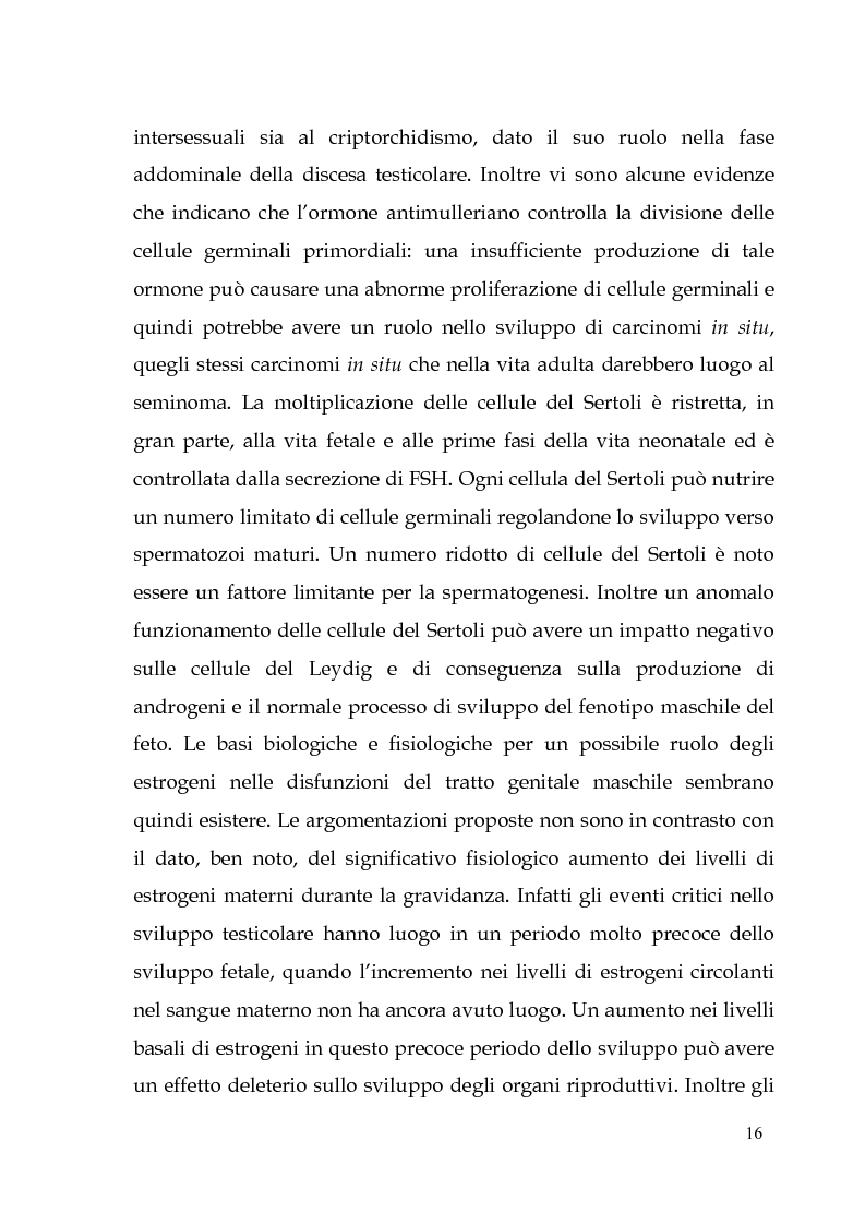 Anteprima della tesi: Endocrine Disruptors: Fertilità maschile e Metalli pesanti, Pagina 12