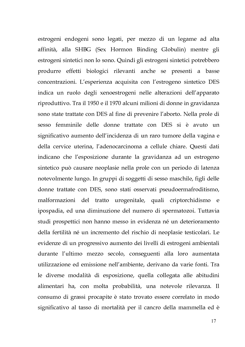 Anteprima della tesi: Endocrine Disruptors: Fertilità maschile e Metalli pesanti, Pagina 13