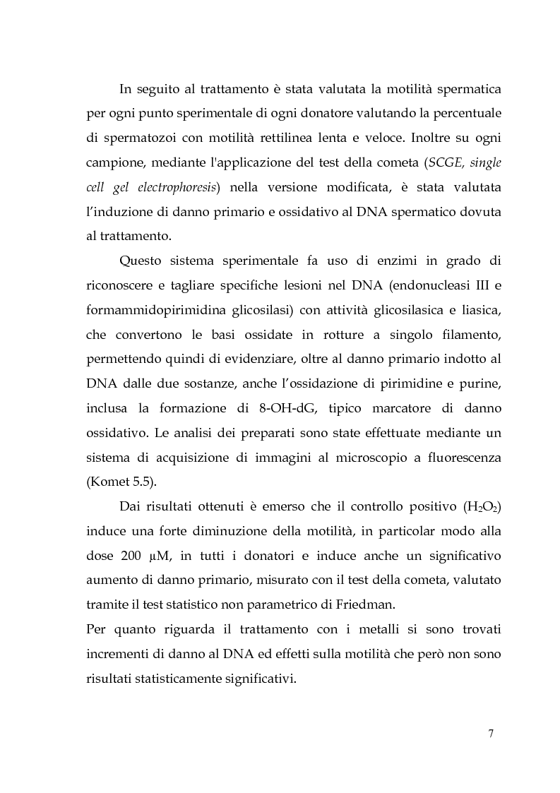 Anteprima della tesi: Endocrine Disruptors: Fertilità maschile e Metalli pesanti, Pagina 3