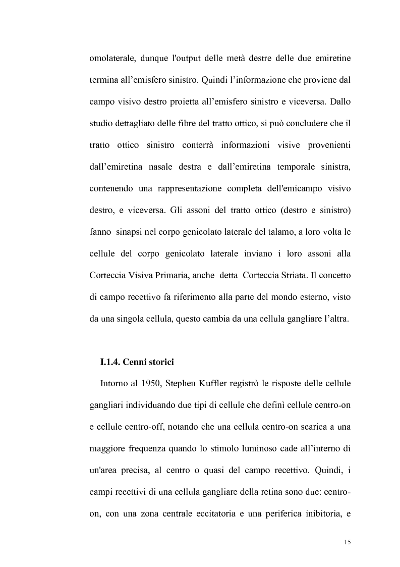 Anteprima della tesi: Ruolo dell'attenzione nella percezione visiva dell'orientamento, Pagina 11