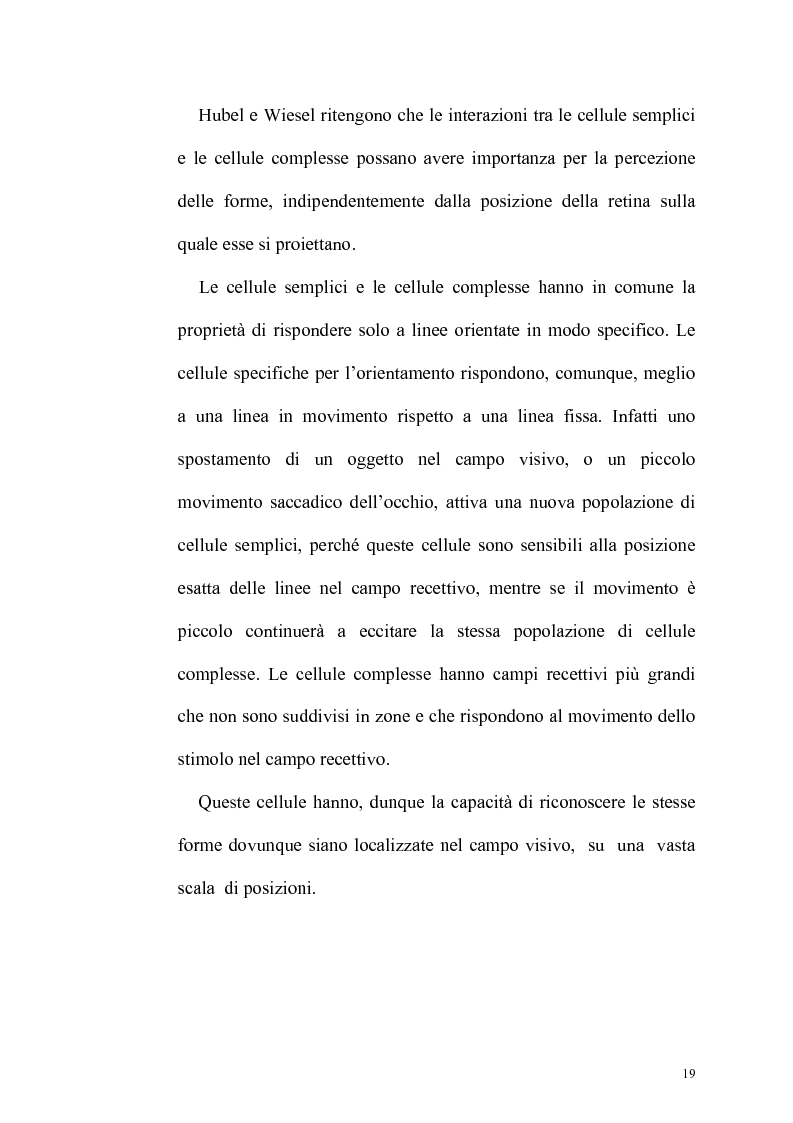 Anteprima della tesi: Ruolo dell'attenzione nella percezione visiva dell'orientamento, Pagina 15