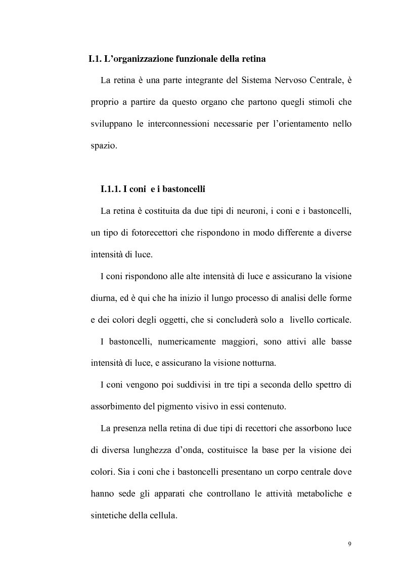 Anteprima della tesi: Ruolo dell'attenzione nella percezione visiva dell'orientamento, Pagina 5