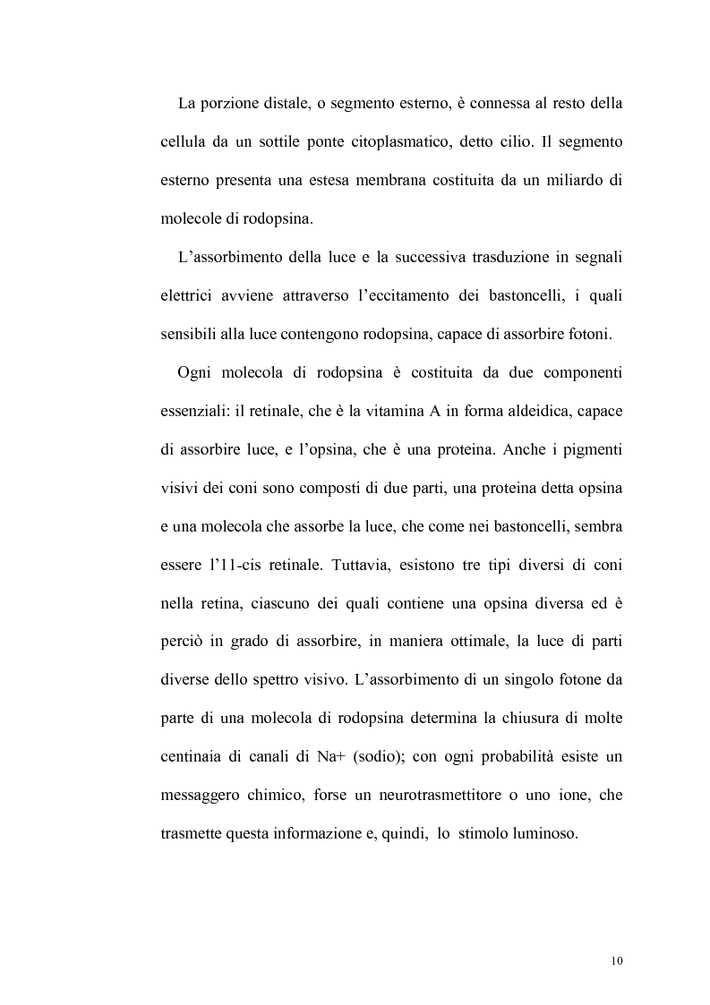 Anteprima della tesi: Ruolo dell'attenzione nella percezione visiva dell'orientamento, Pagina 6