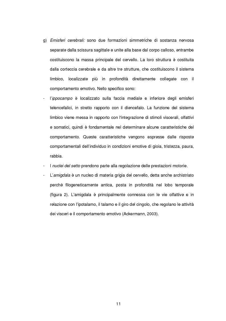 Anteprima della tesi: L’influenza di rabbia, paura e memoria sul comportamento alimentare: uno studio metodologico, Pagina 11