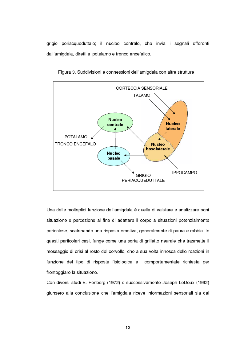 Anteprima della tesi: L’influenza di rabbia, paura e memoria sul comportamento alimentare: uno studio metodologico, Pagina 13