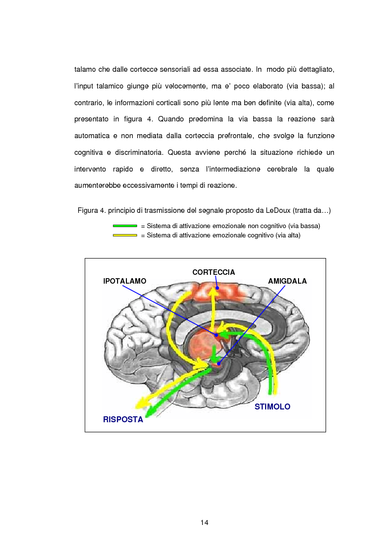 Anteprima della tesi: L’influenza di rabbia, paura e memoria sul comportamento alimentare: uno studio metodologico, Pagina 14