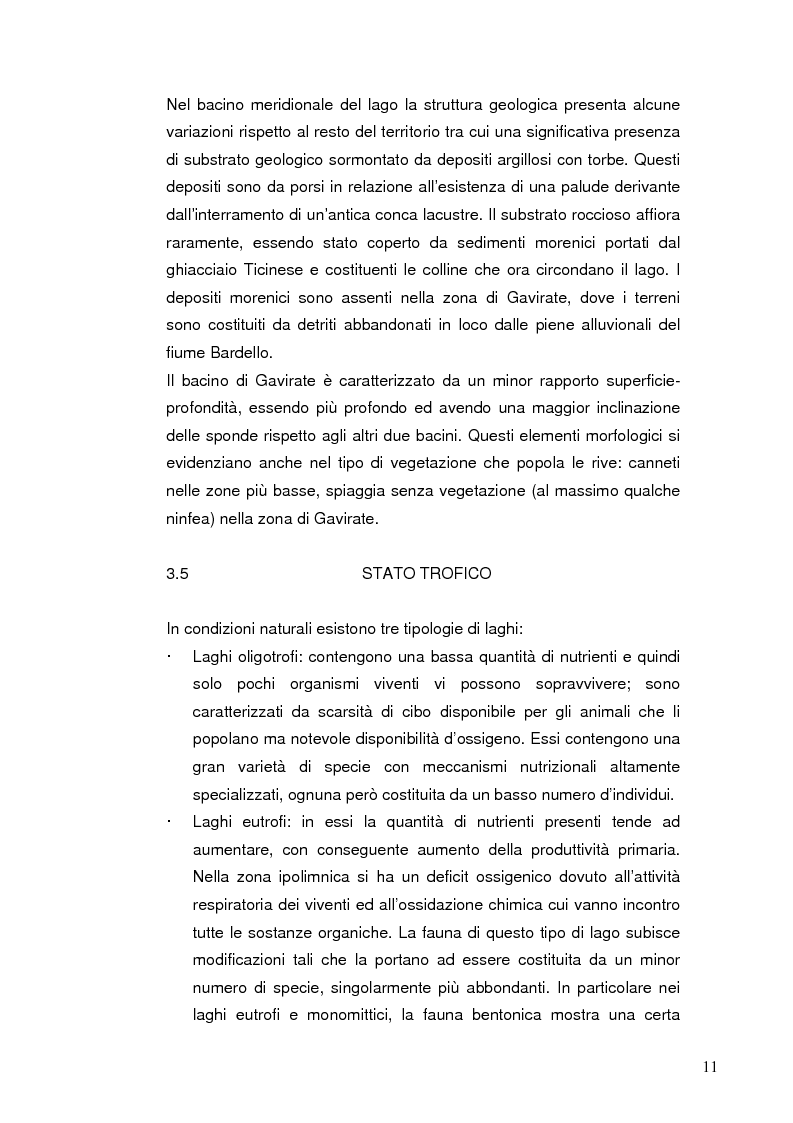 Anteprima della tesi: I Chironomidi (Insecta Diptera) come indicatori dello stato trofico del Lago di Varese, Pagina 12