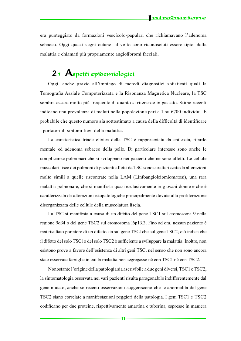 Anteprima della tesi: Espressione selettiva della survivina e sua regolazione nella Sclerosi Tuberosa, una patologia multisistemica, Pagina 6