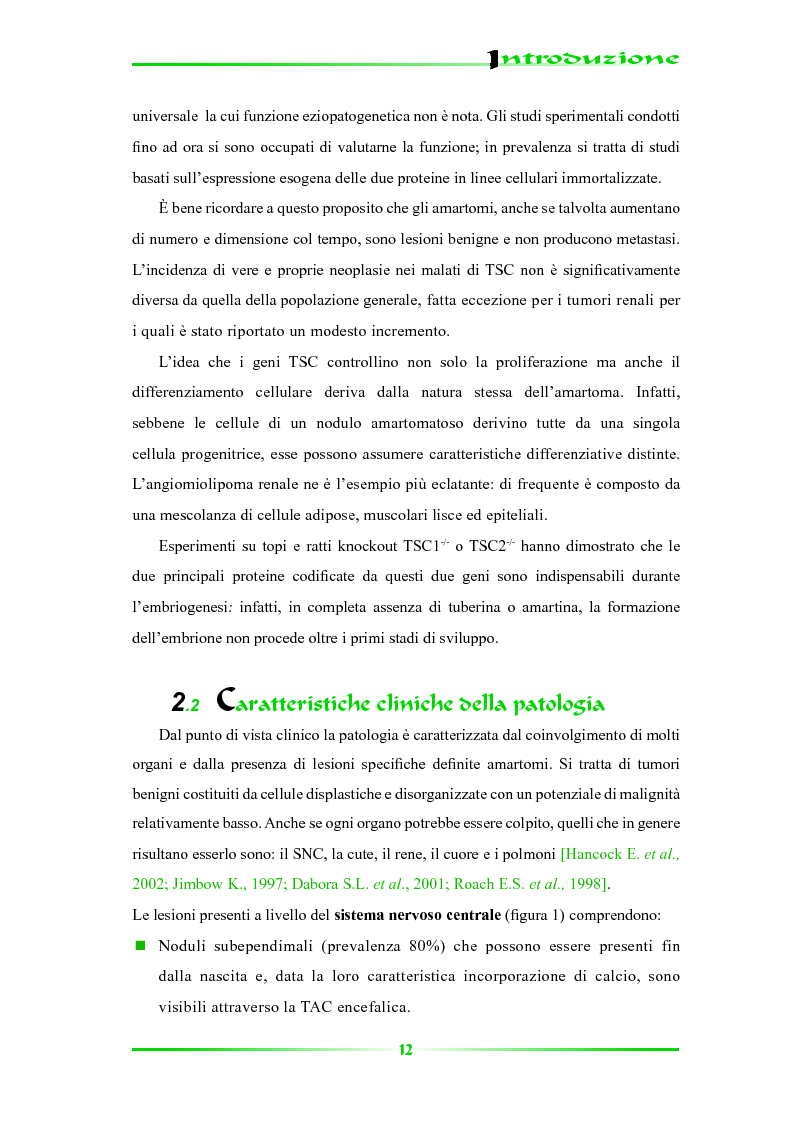 Anteprima della tesi: Espressione selettiva della survivina e sua regolazione nella Sclerosi Tuberosa, una patologia multisistemica, Pagina 7
