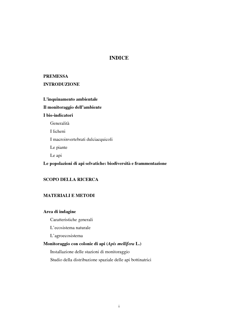 Indice della tesi: Impiego dell'ape (Apis mellifera L.) e delle api solitarie nel monitoraggio ambientale in un'area del Comune di Rosignano Marittimo (LI)., Pagina 1