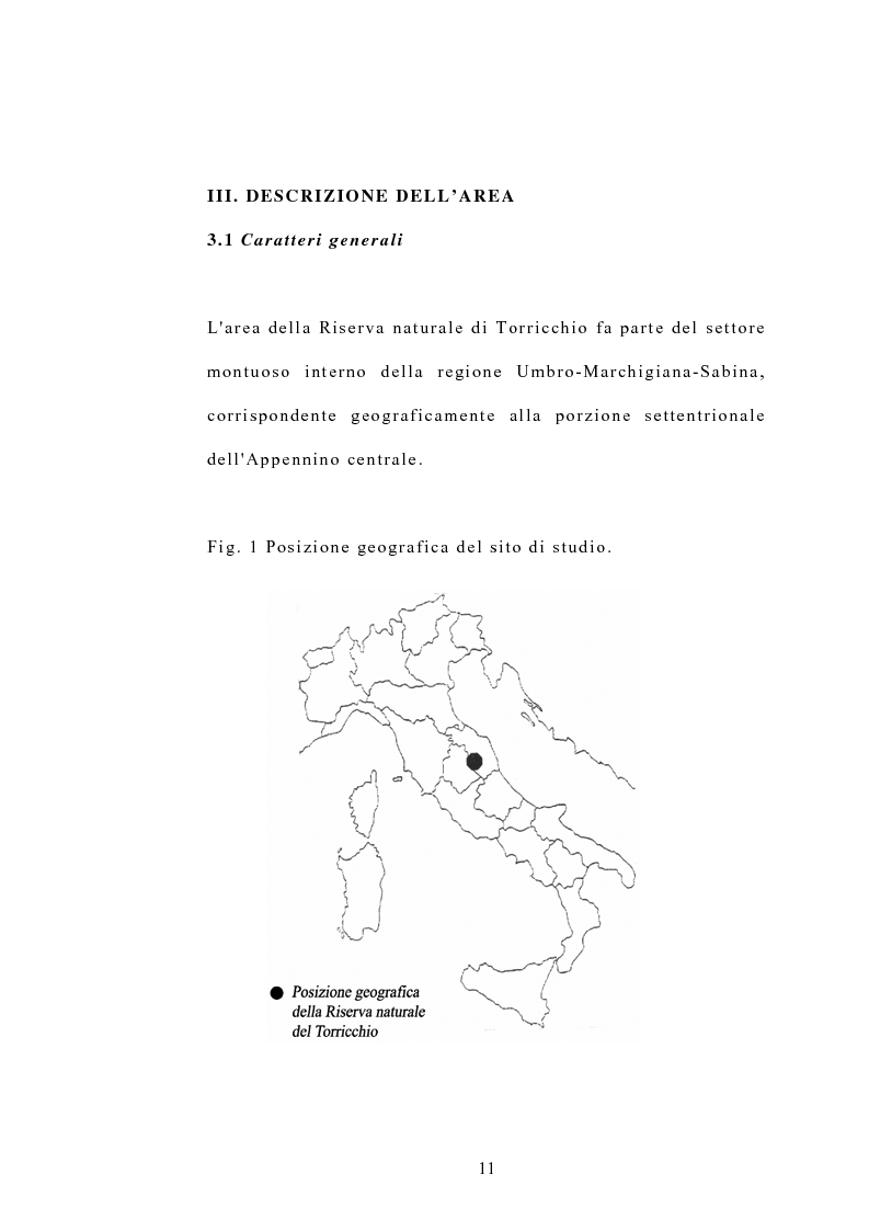 Anteprima della tesi: Processi di popolazione in una fase di colonizzazione a ginepro nei pascoli xerici e abbandonati nella Riserva naturale di Torricchio, Pagina 11