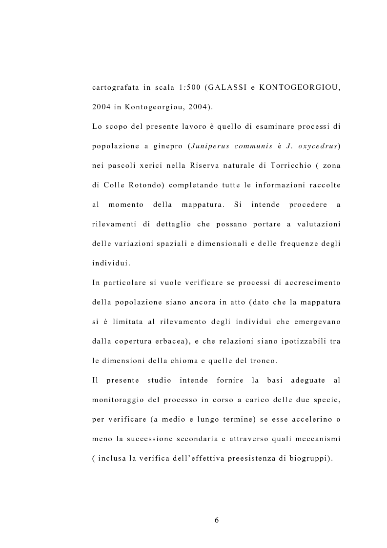 Anteprima della tesi: Processi di popolazione in una fase di colonizzazione a ginepro nei pascoli xerici e abbandonati nella Riserva naturale di Torricchio, Pagina 6