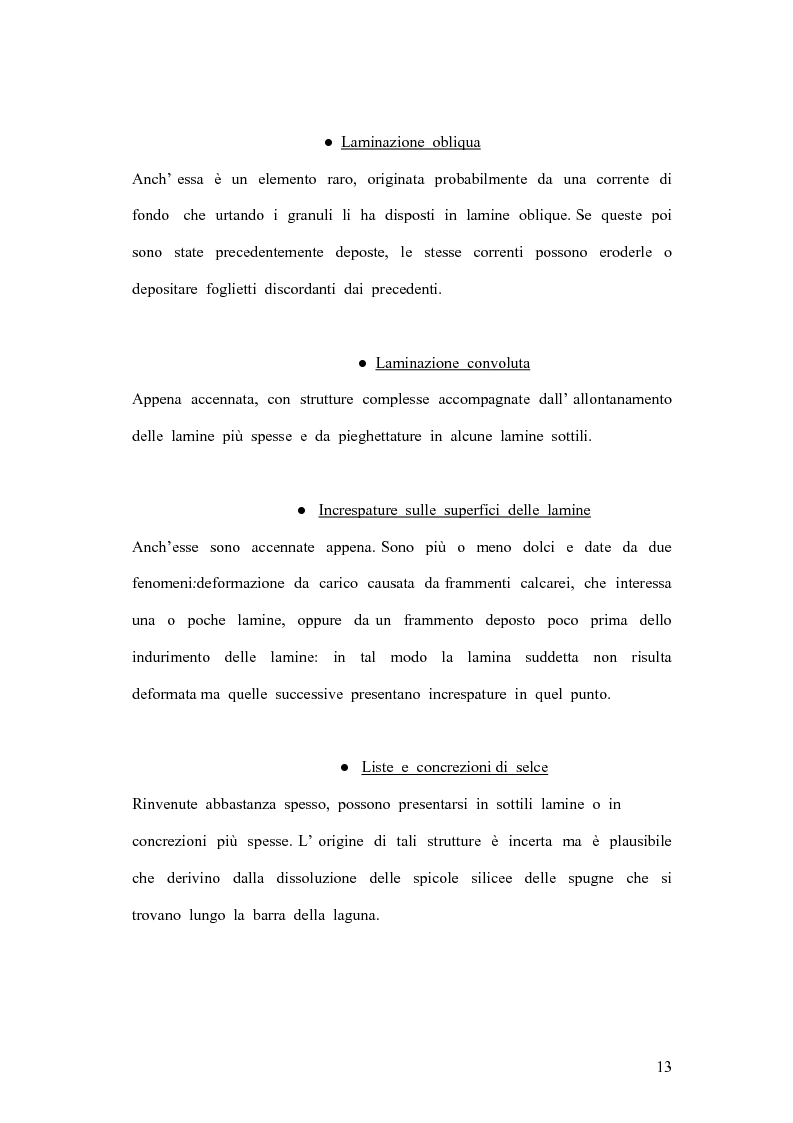Anteprima della tesi: I coproliti del giacimento di Pietraroia (BN): analisi morfologica ed ipotesi paleoecologiche., Pagina 10