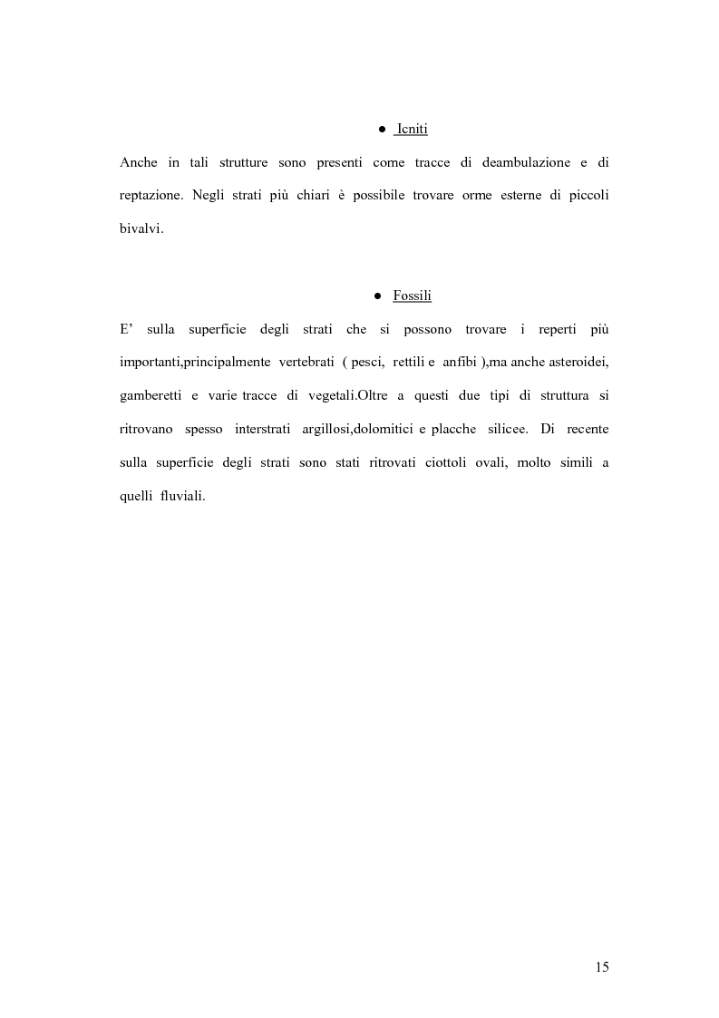 Anteprima della tesi: I coproliti del giacimento di Pietraroia (BN): analisi morfologica ed ipotesi paleoecologiche., Pagina 12