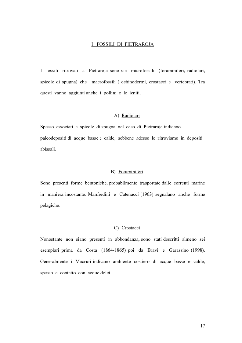 Anteprima della tesi: I coproliti del giacimento di Pietraroia (BN): analisi morfologica ed ipotesi paleoecologiche., Pagina 14