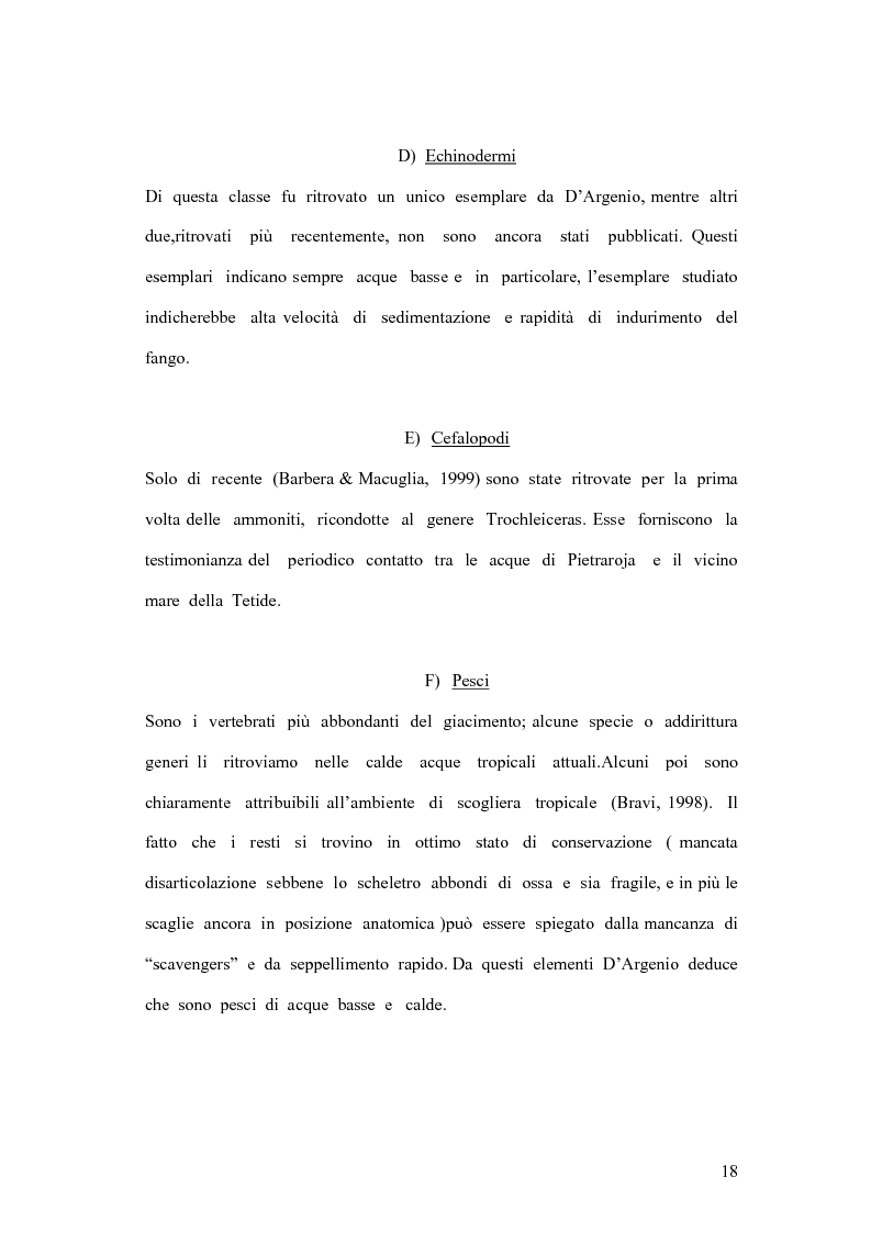 Anteprima della tesi: I coproliti del giacimento di Pietraroia (BN): analisi morfologica ed ipotesi paleoecologiche., Pagina 15