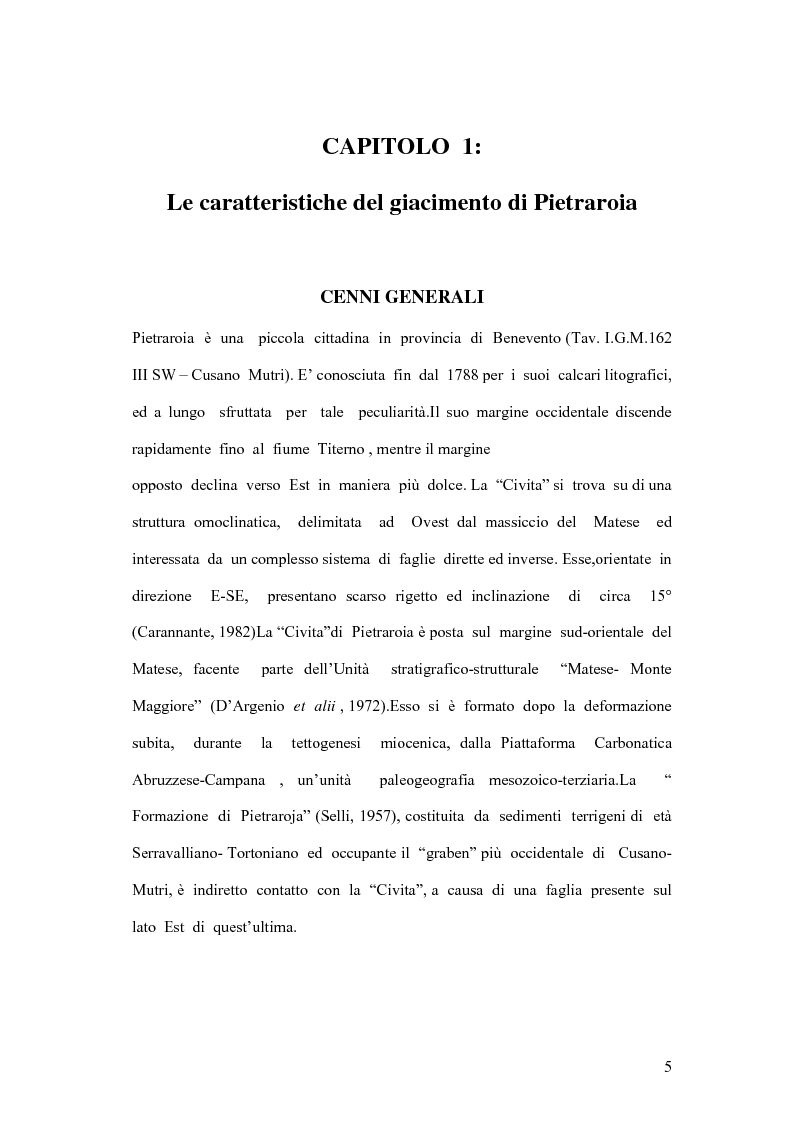 Anteprima della tesi: I coproliti del giacimento di Pietraroia (BN): analisi morfologica ed ipotesi paleoecologiche., Pagina 2