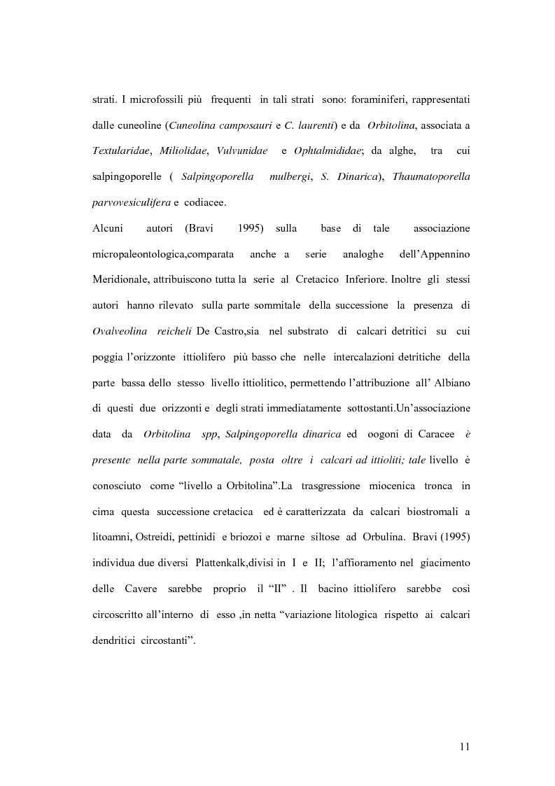 Anteprima della tesi: I coproliti del giacimento di Pietraroia (BN): analisi morfologica ed ipotesi paleoecologiche., Pagina 8