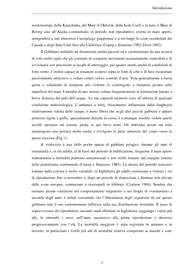 Anteprima della tesi: Ecologia alimentare del gabbiano tridattilo (Rissa tridactyla) studiata mediante data logger, Pagina 3