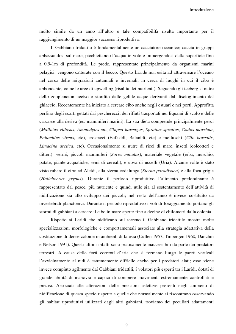 Anteprima della tesi: Ecologia alimentare del gabbiano tridattilo (Rissa tridactyla) studiata mediante data logger, Pagina 7