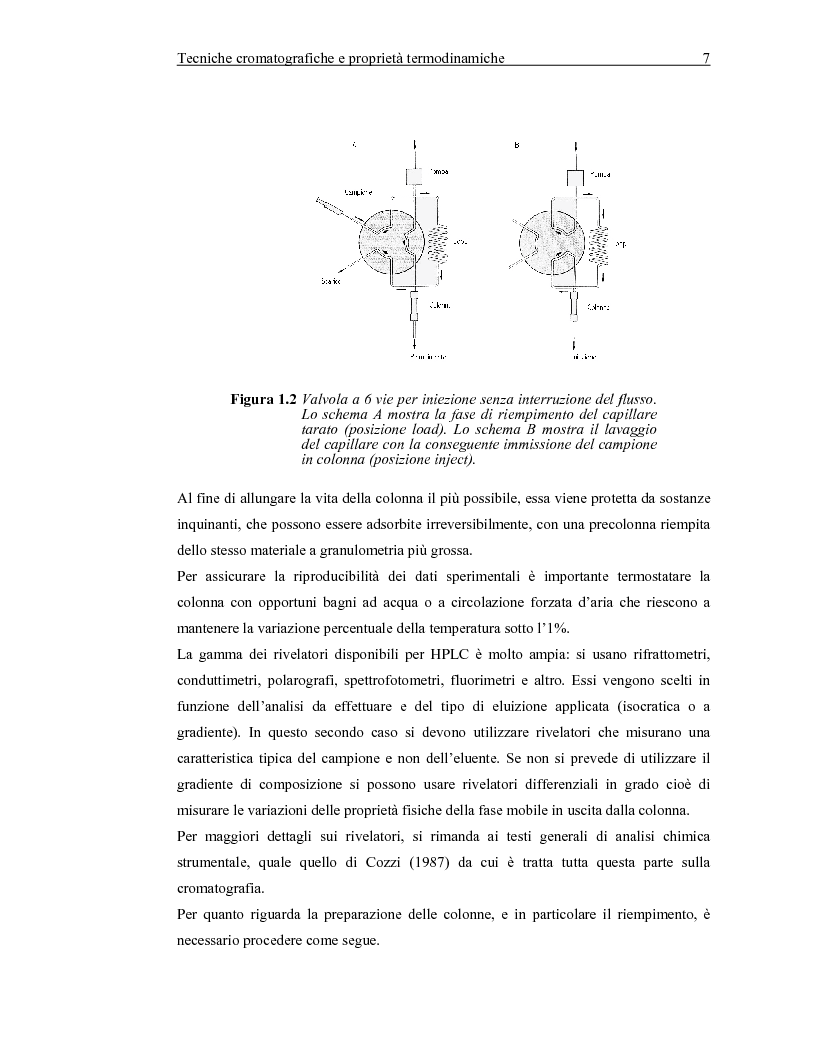 Anteprima della tesi: Misura di coefficienti di attività a diluizione infinita di solventi in polimeri ramificati, Pagina 9