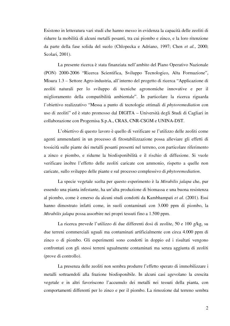 Anteprima della tesi: Effetti delle zeoliti naturali sul processo di phytoremediation di terreni contaminati da zinco e piombo, Pagina 2