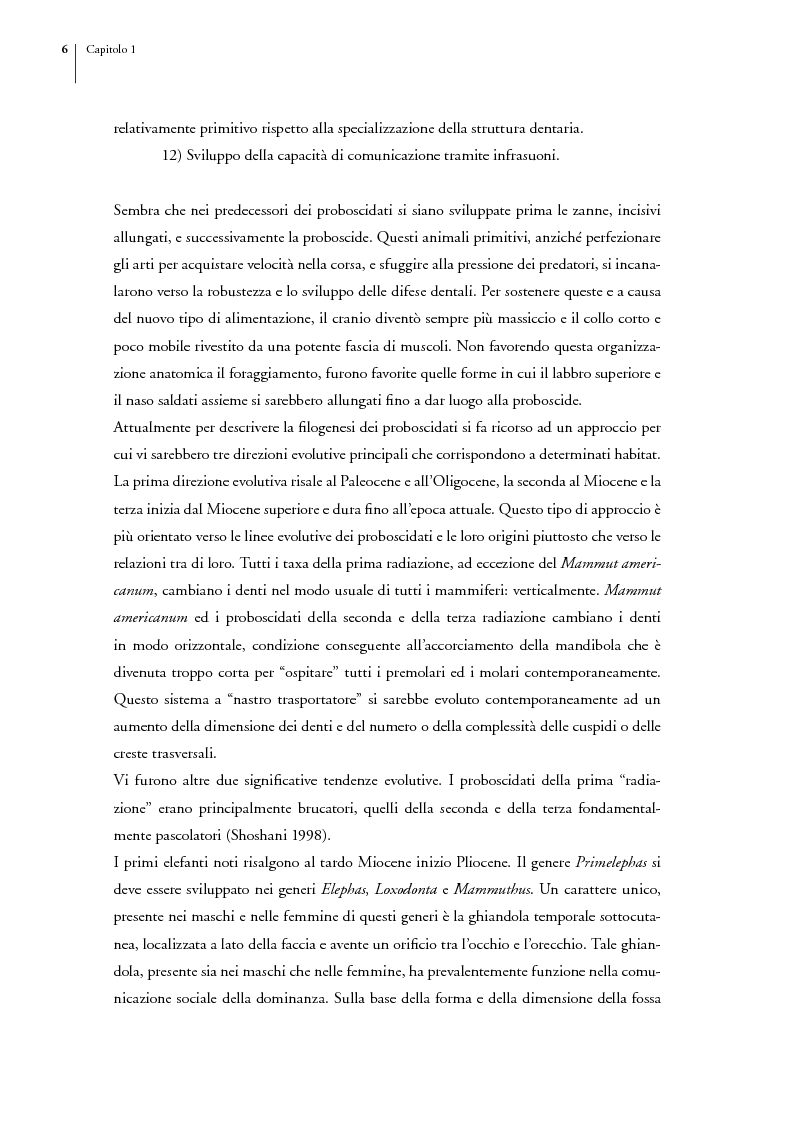 Anteprima della tesi: Gli elefanti del Tarangire. Uso dell'habitat e modelli di aggregazione nella stagione delle piogge, Pagina 2