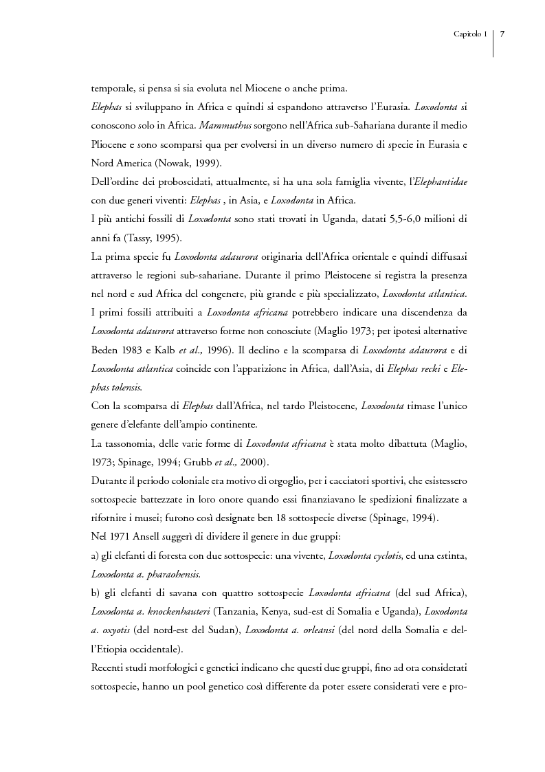 Anteprima della tesi: Gli elefanti del Tarangire. Uso dell'habitat e modelli di aggregazione nella stagione delle piogge, Pagina 3