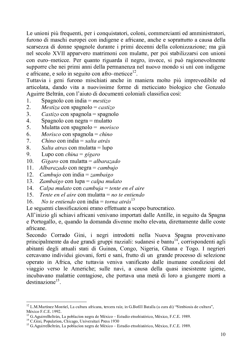 Anteprima della tesi: Identità e diritti delle minoranze etniche in Messico: la Costa Chica di Oaxaca e Guerrero, Pagina 6