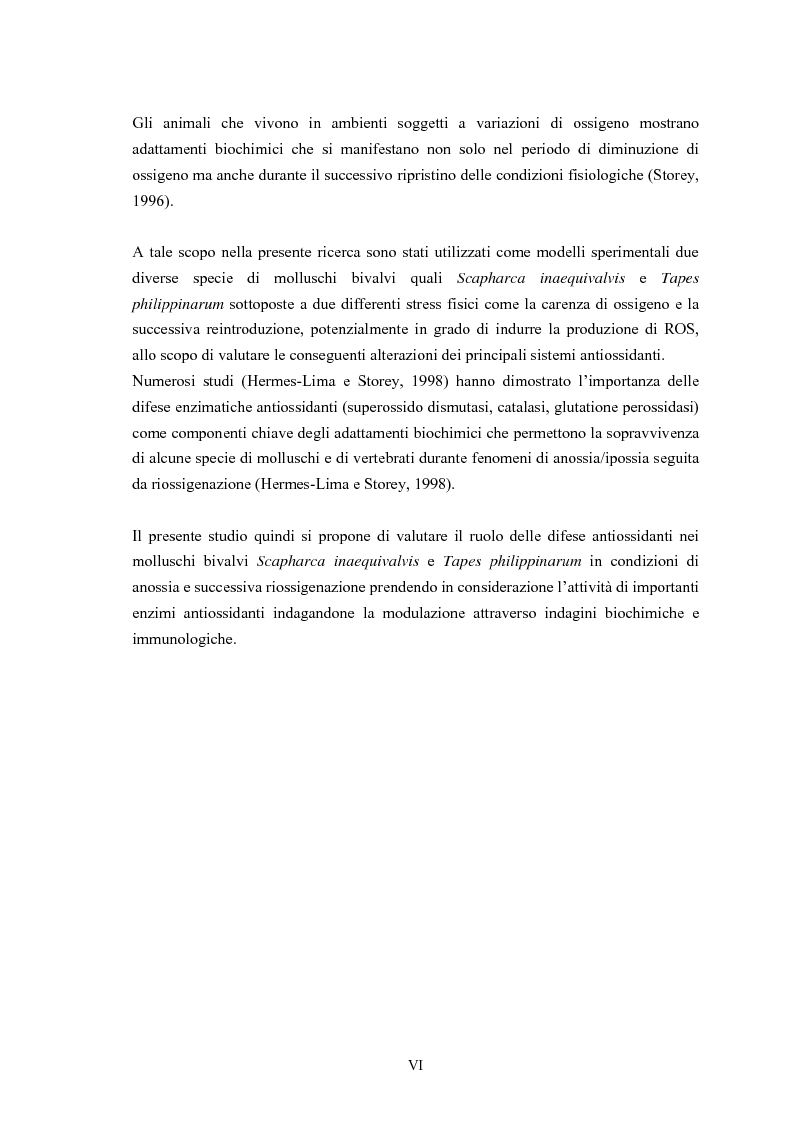 Anteprima della tesi: Modulazione degli enzimi antiossidanti in Tapes philippinarum e Scapharca inaequivalvis in condizioni di anossia e successiva riossigenazione, Pagina 2