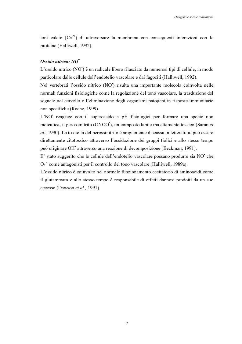 Anteprima della tesi: Modulazione degli enzimi antiossidanti in Tapes philippinarum e Scapharca inaequivalvis in condizioni di anossia e successiva riossigenazione, Pagina 9