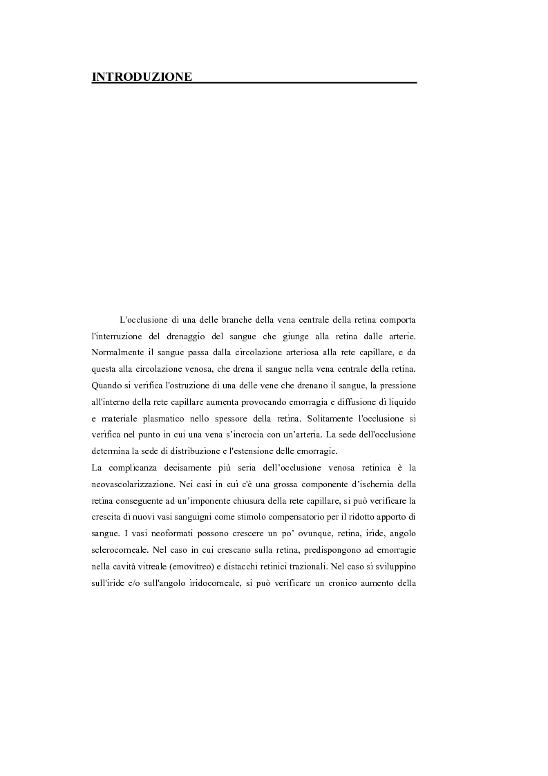 Anteprima della tesi: Identificazione del profilo vascolare in immagini fluoroangiografiche della retina tramite Active Contour Models, Pagina 2