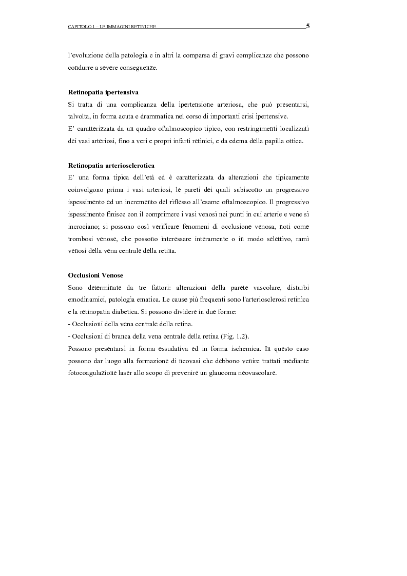 Anteprima della tesi: Identificazione del profilo vascolare in immagini fluoroangiografiche della retina tramite Active Contour Models, Pagina 9