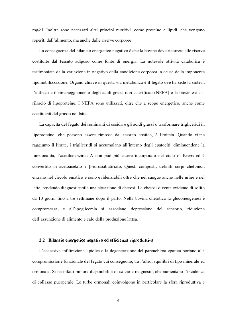 Anteprima della tesi: Somministrazione di due antiossidanti naturali alla bovina nel periparto: effetti sui parametri quali-quantitativi del latte e sullo stato ossidativo del siero, Pagina 4